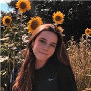 Elève en Master de Commerce, je donne des cours de soutien scolaire toutes matières niveau collège !